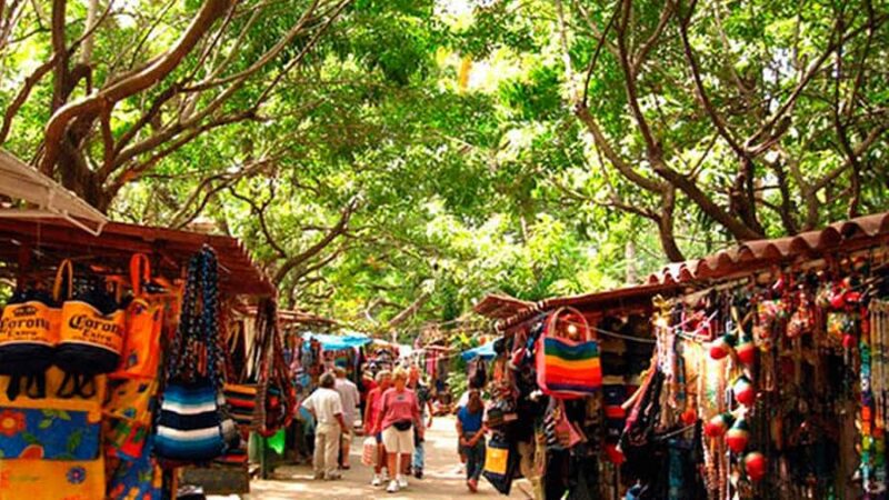 Explore Puerto Vallarta and Eden Park - Important Logistics and Travel Details