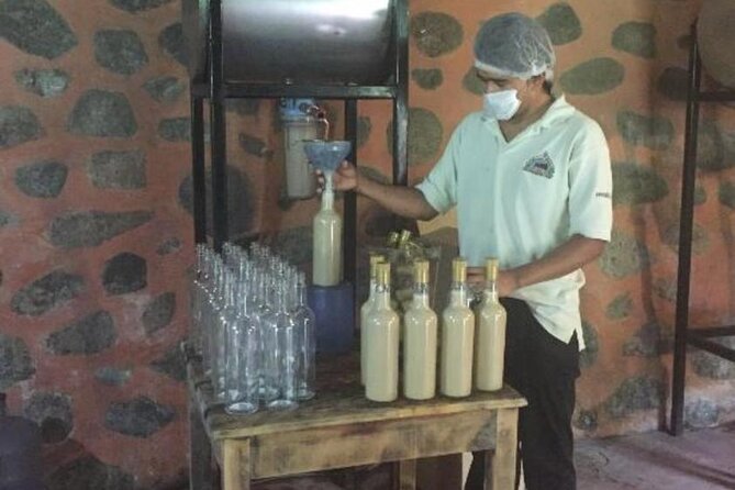 Explore Puerto Vallarta and Tequila Tasting - What’s Not Included: Food & Beverages