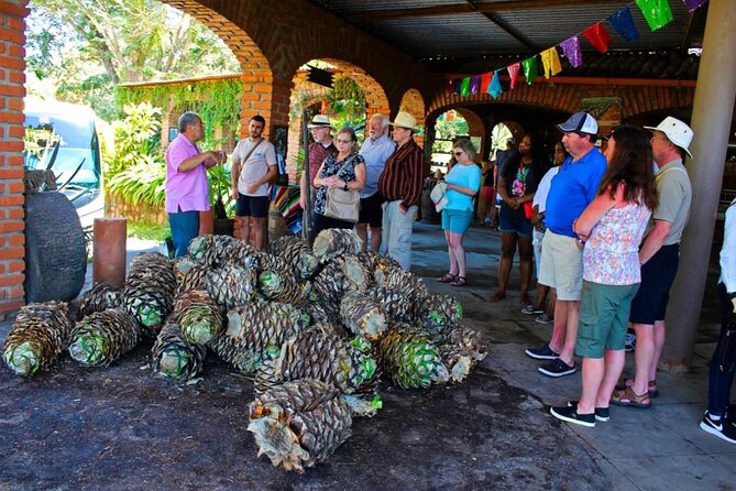 Explore Puerto Vallarta and Tequila Tasting - Why Choose This Tour: Highlights and Considerations