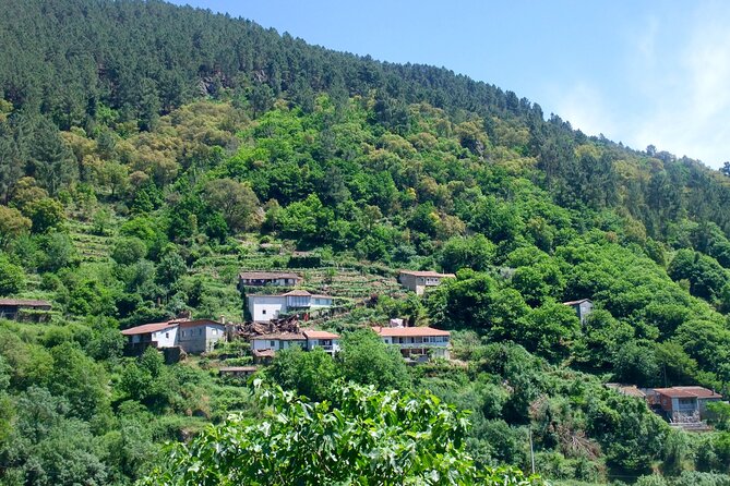 Explore Ribeira Sacra by Boat: Unique Excursion from Santiago - Panoramic Views from Mirador de Soutochao
