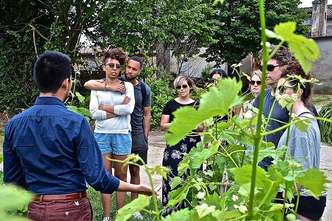 "Explore Saint-Émilion on e-Bikes: Small Group, half-Day Tour" - Key Points
