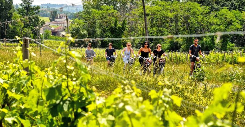 Explore Saint-Émilion on e-Bikes: Small Group, half-Day Tour - Key Points