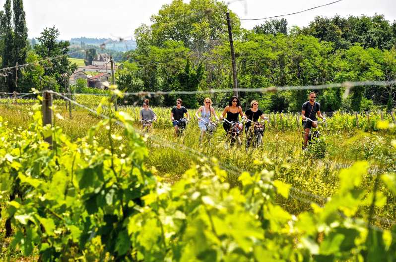 Explore Saint-Émilion on e-Bikes: Small Group, half-Day Tour - Discovering Iconic Châteaux: Château Angelus and Château Ausone