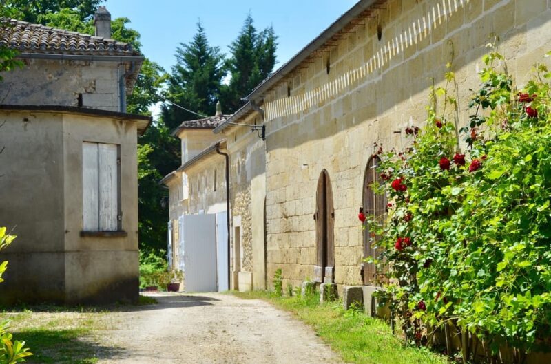 Explore Saint-Émilion on e-Bikes: Small Group, half-Day Tour - Practical Details: Meeting Point, Group Size, and What’s Included