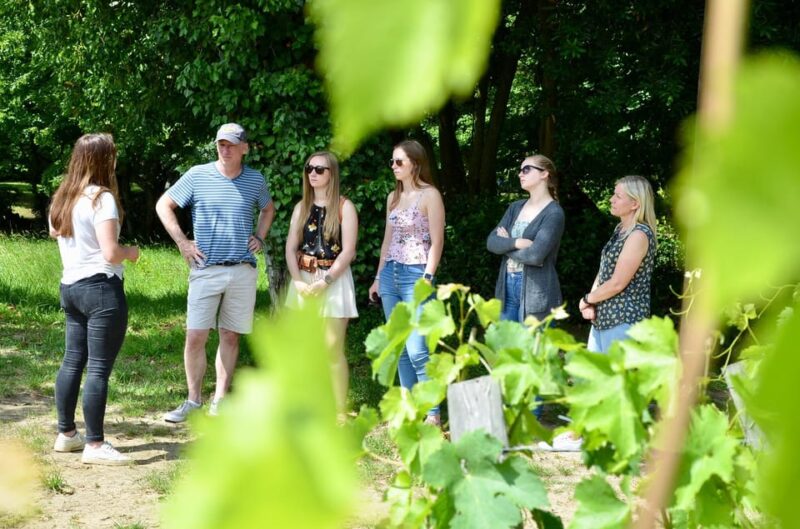 Explore Saint-Émilion on e-Bikes: Small Group, half-Day Tour - What to Bring and What to Expect Day-of
