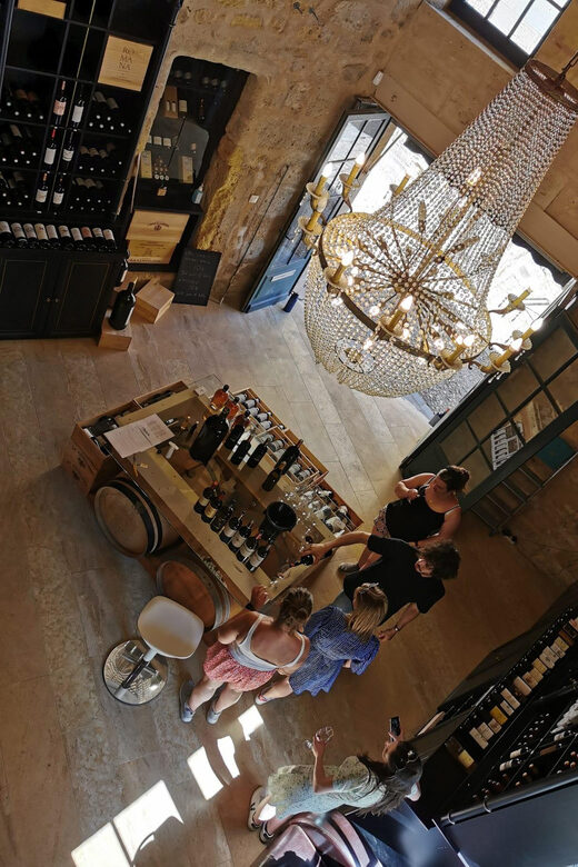 Explore Saint-Émilion on e-Bikes: Small Group, half-Day Tour - The Experience: Pacing, Education, and Support