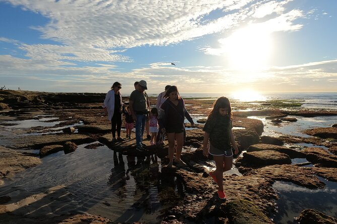 Explore San Diego Tide Pools with a Marine Biologist - Exploring the Natural World of San Diego Tide Pools in La Jolla