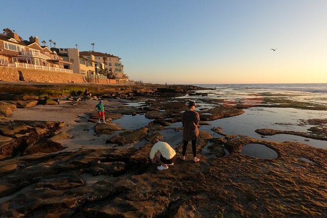 Explore San Diego Tide Pools with a Marine Biologist - Practical Tips for Visitors: Footwear, Timing, and Accessibility