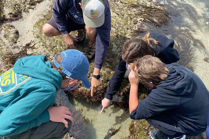 Explore San Diego Tide Pools with a Marine Biologist - Who Will Most Appreciate This Experience?