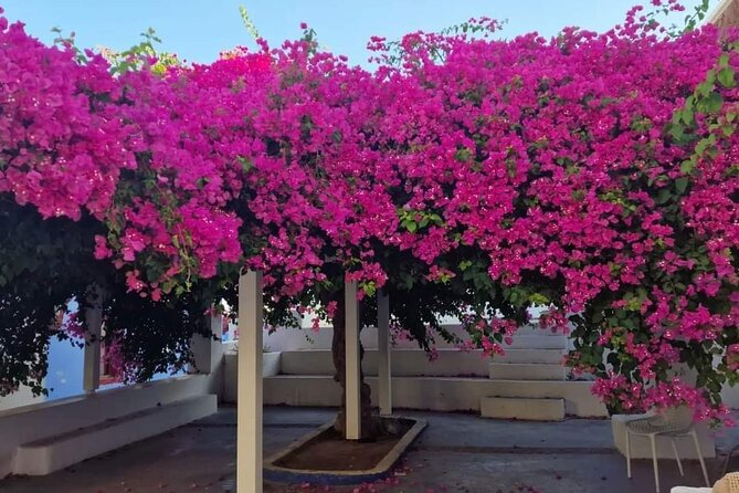 Explore Santorini in 3 hours With a Local Guide - Who Benefits from This Tour?