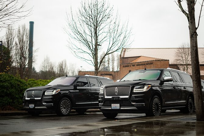 Explore Seattle in 4 Hours : Exclusive SUV Tour - Fremont Troll: An Eccentric Landmark