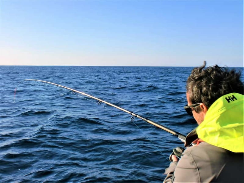 Explore Sesimbra: Private Sport Fishing All Inclusive Tour - Marine Life Viewing and the Main Fishing Session