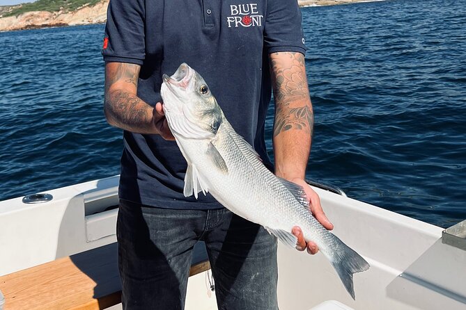 Explore Sesimbra Sports Fishing - Key Points