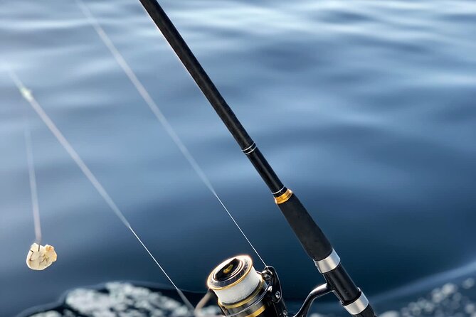 Explore Sesimbra Sports Fishing - The Range of Fishing Options in Sesimbra