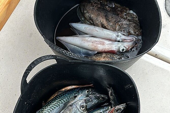 Explore Sesimbra Sports Fishing - What Makes the Fishing Experience Special