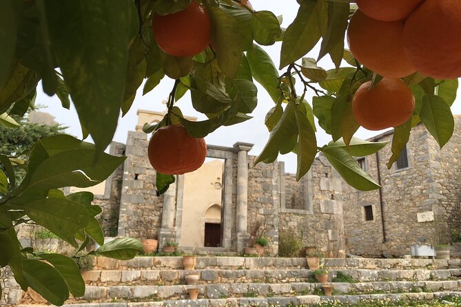 Explore Shepherds Hut and Cheese Making Process - Enjoy Authentic Cretan Cuisine at a Village Taverna