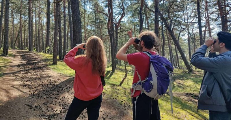 Explore Sobieszewo Island: Nature Walk & Wildlife Tour - Key Points