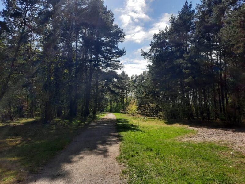 Explore Sobieszewo Island: Nature Walk & Wildlife Tour - Visiting Sobieszewo Island’s Bird-Hides for Up-Close Wildlife Viewing