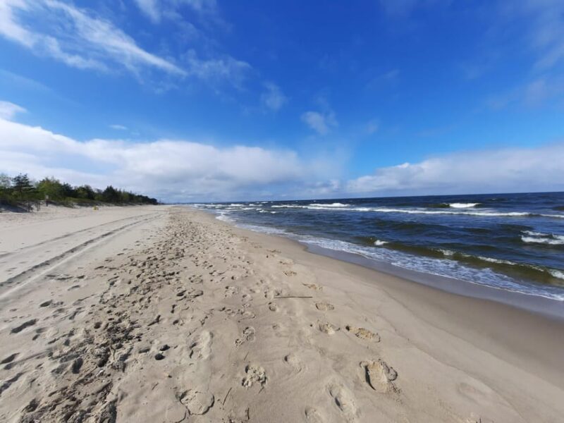 Explore Sobieszewo Island: Nature Walk & Wildlife Tour - Timed Breaks and Photo Stops for Memorable Moments