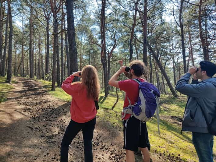 Explore Sobieszewo Island: Nature Walk & Wildlife Tour - Ryan’s Expert Guidance and Ecological Insights