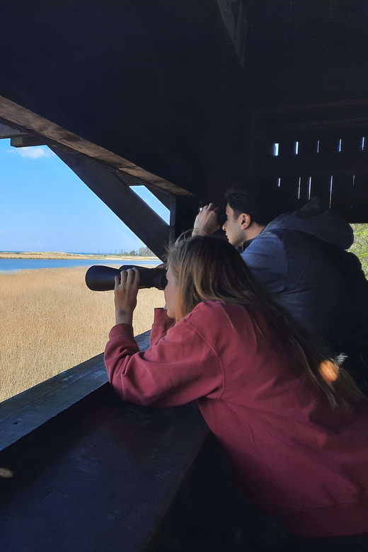 Explore Sobieszewo Island: Nature Walk & Wildlife Tour - End of the Tour and Return to the Meeting Point