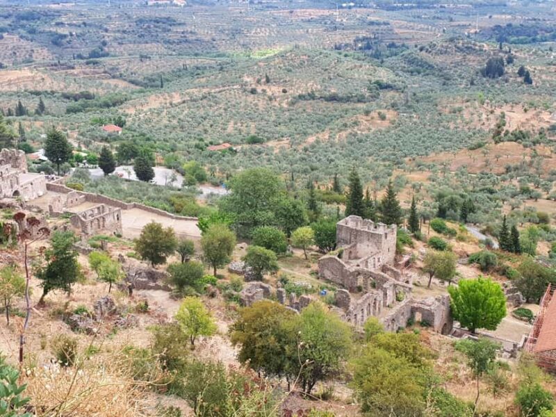 Explore Sparta and Mystras on a Private One-Day Tour - The Unique Museum of Olive Oil and Greece’s Olive Heritage