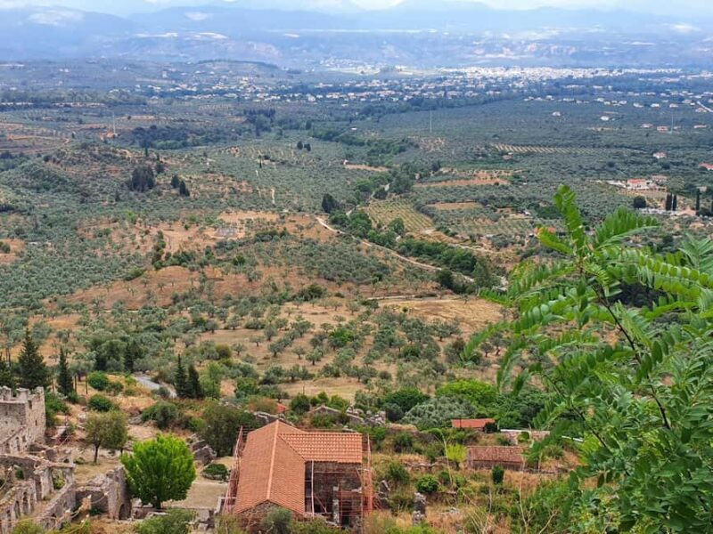 Explore Sparta and Mystras on a Private One-Day Tour - Who Would Enjoy This Tour and Its Highlights