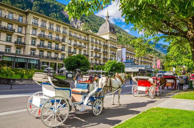 Explore Swiss Villages: Interlaken-Grindelwald(Private Tour) - Key Points