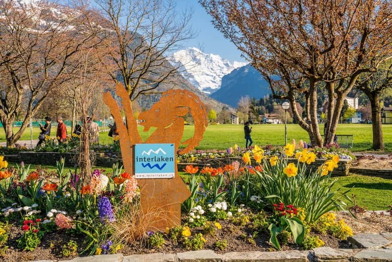 Explore Swiss Villages: Interlaken-Grindelwald(Private Tour) - Who Will Appreciate This Tour Most?