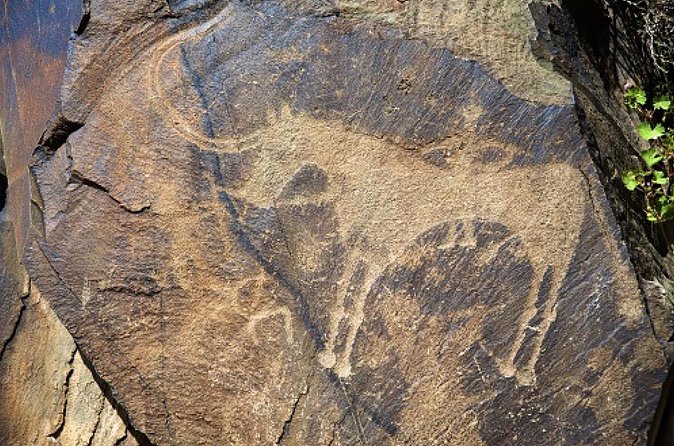 Explore Tanbaly and Tamgaly Tas in 1 day! - What Makes This Tour Stand Out