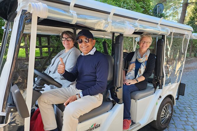 Explore the Best Highlights of Rome by Golf Car - Private Tour - Exploring Rome’s Ancient Landmarks: The Colosseum and Palatine Hill