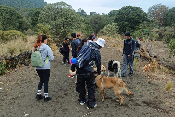 Explore the Caves of an Inactive Volcano on CDMX - What You Can Expect Inside the Lava Caves