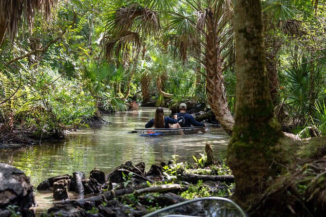 Explore The Chaz: Exclusive Clear Kayak Tours Near Crystal River - Explore The Chaz: A Clear Kayak Adventure Near Crystal River for Wildlife and Cave Enthusiasts