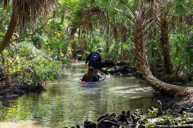 Explore The Chaz: Exclusive Clear Kayak Tours Near Crystal River - Key Points