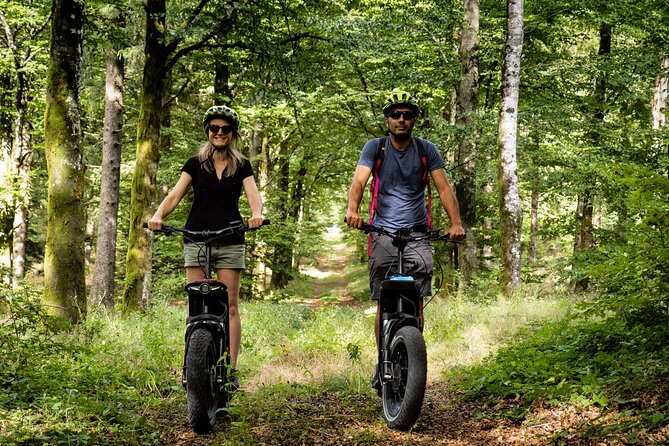 Explore the forests of Haut Languedoc on an electric scooter - Expert Guidance with Friendly Guides