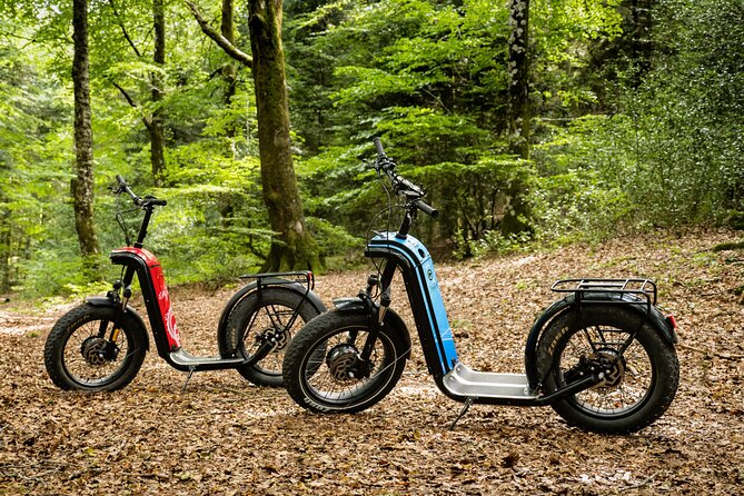 Explore the forests of Haut Languedoc on an electric scooter - Flexible Cancellation and Weather Considerations