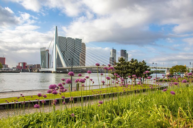 Explore the Instaworthy Spots of Rotterdam with a Local - Het Industriegebouw’s Creative Rebirth