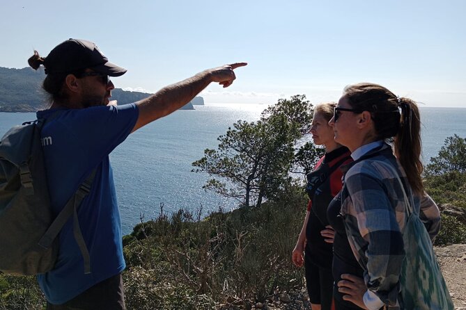 Explore the island of Dragonera by kayak and on foot - The Return Journey: Relaxed Pace and Scenic Paddling Back