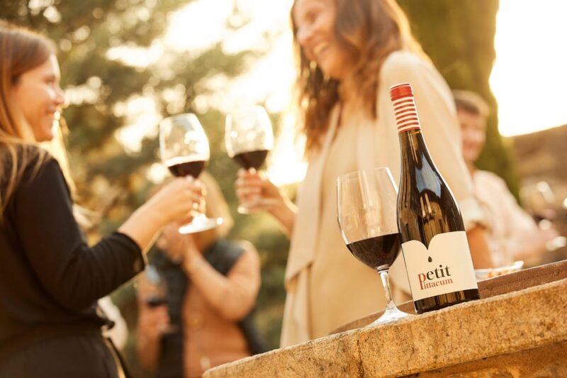 Explore the Legacy of Arganzas 19th-Century Winery - The Scenic Vineyard Setting in Arganza