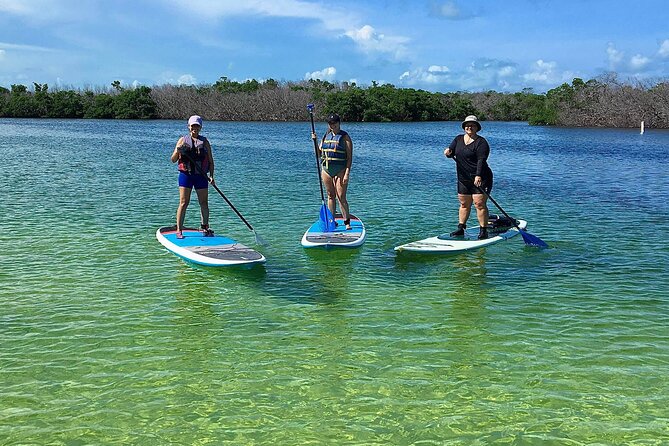 Explore the Mangrove Creeks with an ALL Day Tandem Kayak Rental - Route Choices: Island or Lagoon Jungle