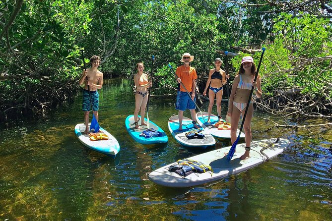 Explore the Mangrove Creeks with an ALL Day Tandem Kayak Rental - Pacing and Physical Requirements