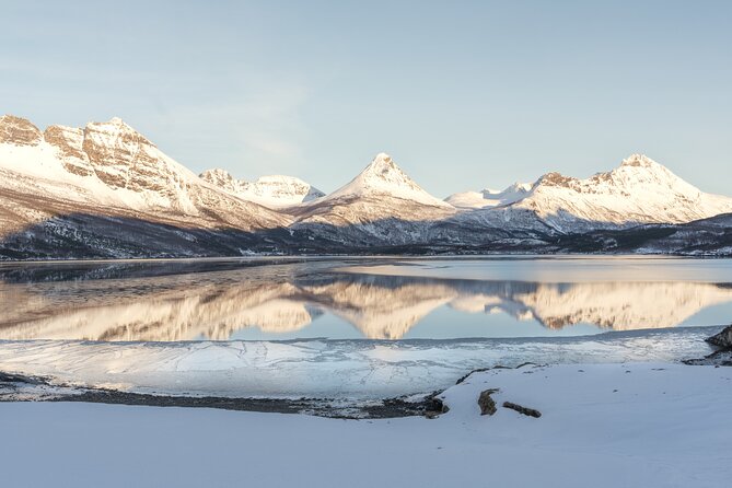 Explore the Norwegian Fjords and the Wildlife From Abisko - Key Points