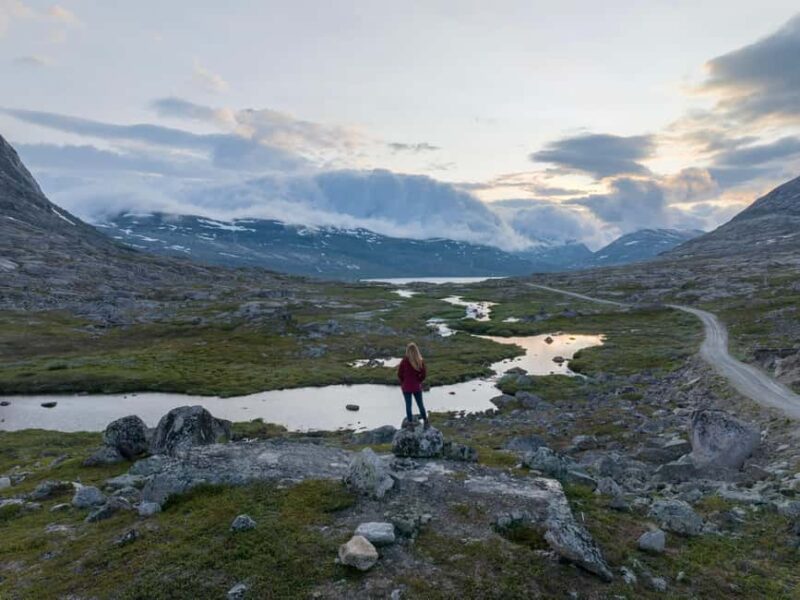 Explore the Norwegian Fjords and the Wildlife from Abisko. - Why This Tour Stands Out