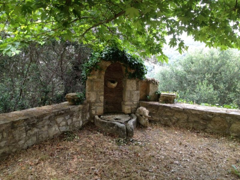 Explore the Secrets of Wine and Olives in Chania - Authentic Cretan Lunch at Sebronas