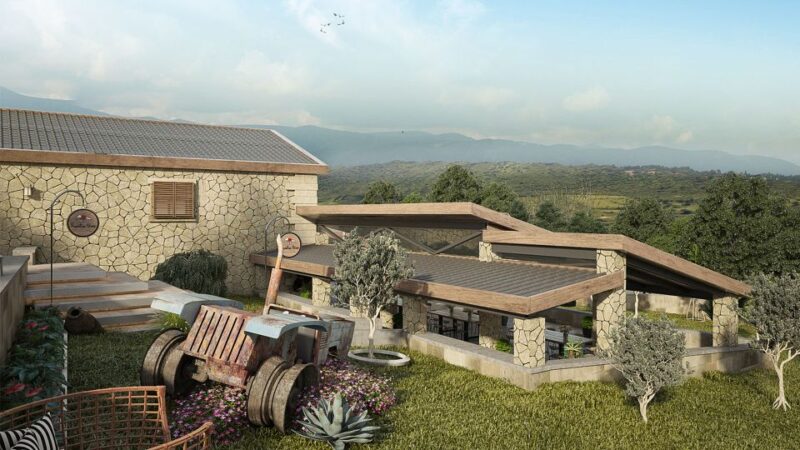 Explore the Secrets of Wine and Olives in Chania - Logistics, Group Size, and Accessibility