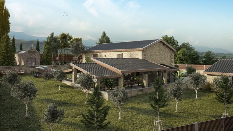 Explore the Secrets of Wine and Olives in Chania - The Traditional Cretan Lunch and Hospitality