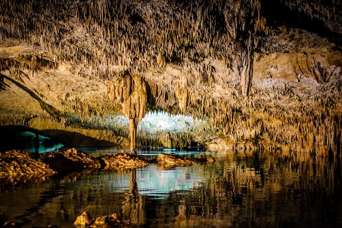 Explore the Tulum ruins, incredible cenotes and a famous sculpture. - Visiting the Come to the Light Sculpture by Daniel Popper