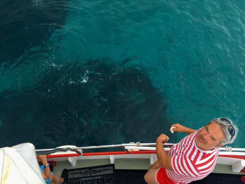 Explore the Wild Bays of Krk Island with Capt. Bobo(Private) - The Private Group Experience Led by Capt. Bobo