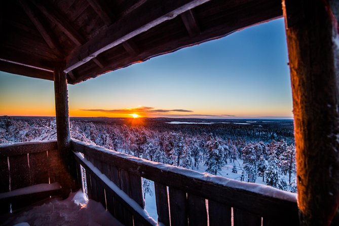 Explore the Wilderness - Explore the Wilderness: A Private Photography Adventure in Rovaniemi