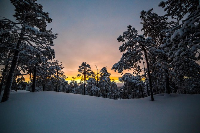Explore the Wilderness - Expert Photography Guidance and Unique Photo Opportunities